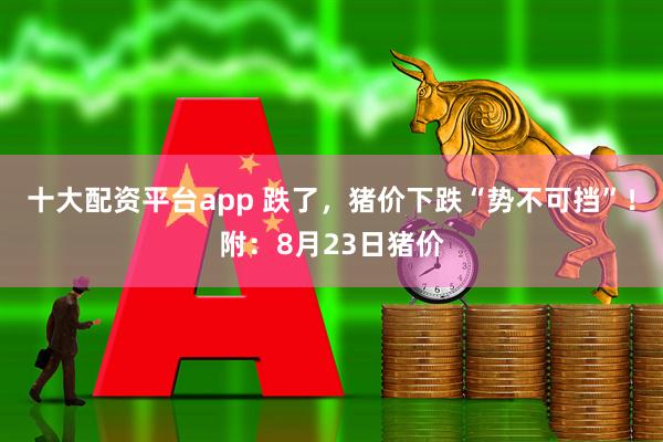 十大配资平台app 跌了，猪价下跌“势不可挡”！附：8月23日猪价
